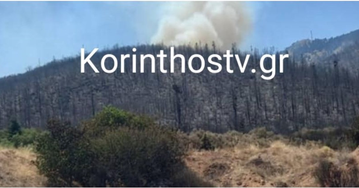 WWF: Η φωτιά στον Φενεό η πιο καταστροφική του καλοκαιριού - 16.000 στρέμματα σε περιοχή Natura με σπάνιο ελατόδασος