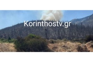 WWF: Η φωτιά στον Φενεό η πιο καταστροφική του καλοκαιριού - 16.000 στρέμματα σε περιοχή Natura με σπάνιο ελατόδασος