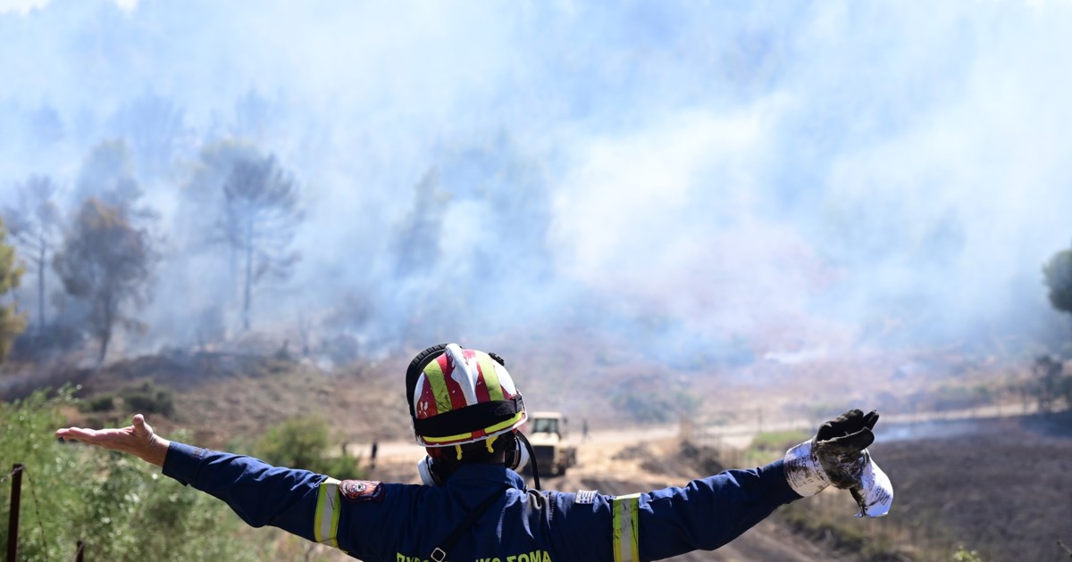 Πέλλα: Φωτιά σε δασική έκταση στην περιοχή Λουτράκι - Ξεκίνησε από κεραυνό