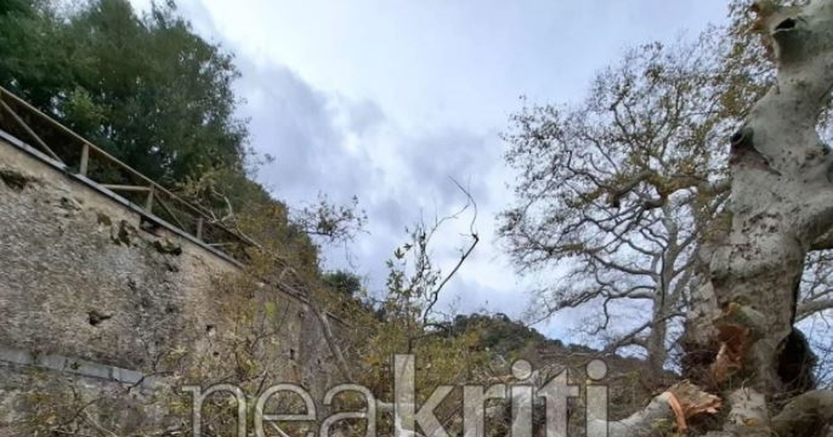 Θεσσαλονίκη: Τεράστιο δέντρο έπεσε σε μπαλκόνια πολυκατοικίας - Νόμιζαν ότι έγινε σεισμός [βίντεο] - εικόνα 2