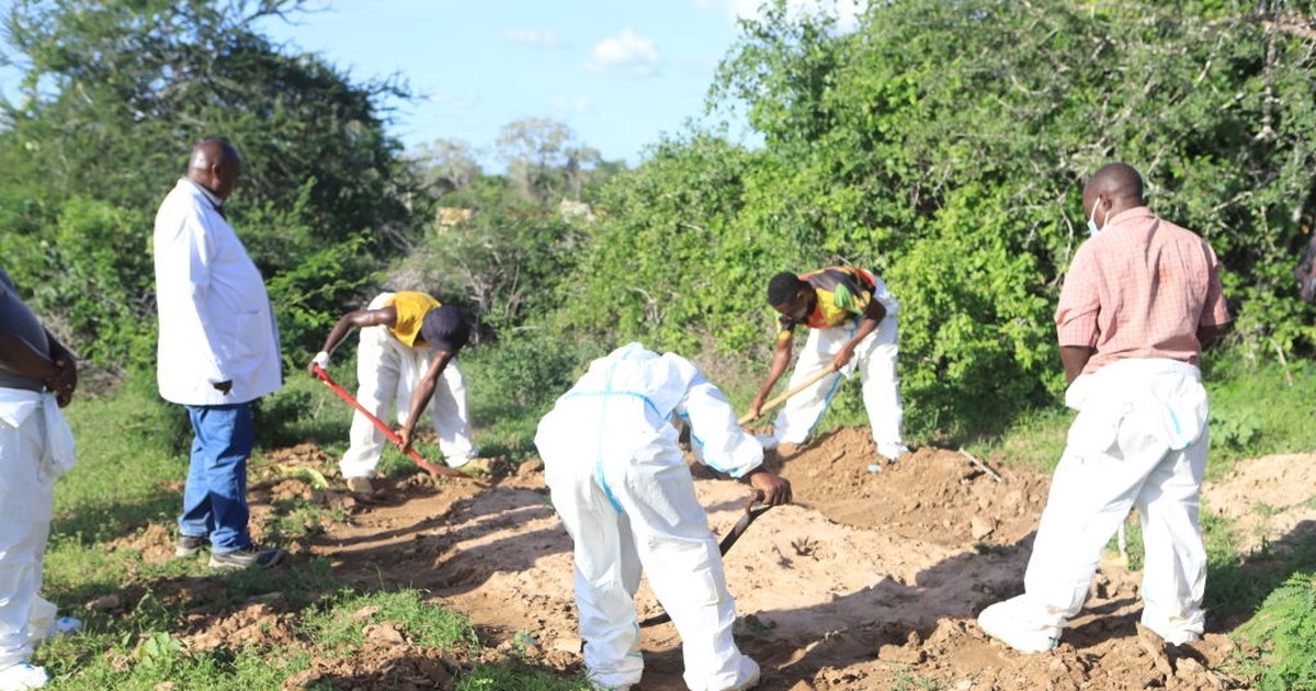 Κένυα: Οργή για τον άνδρα τουρίστα που έριξε μπύρα σε ελέφαντα