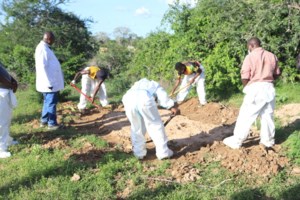 Κένυα: Οργή για τον άνδρα τουρίστα που έριξε μπύρα σε ελέφαντα