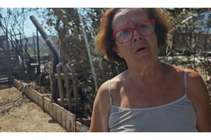 Τραγικό ρεκόρ: Οι φετινές πυρκαγιές έκαψαν περισσότερα από 10 εκατομμύρια στρέμματα στην ΕΕ - εικόνα 3