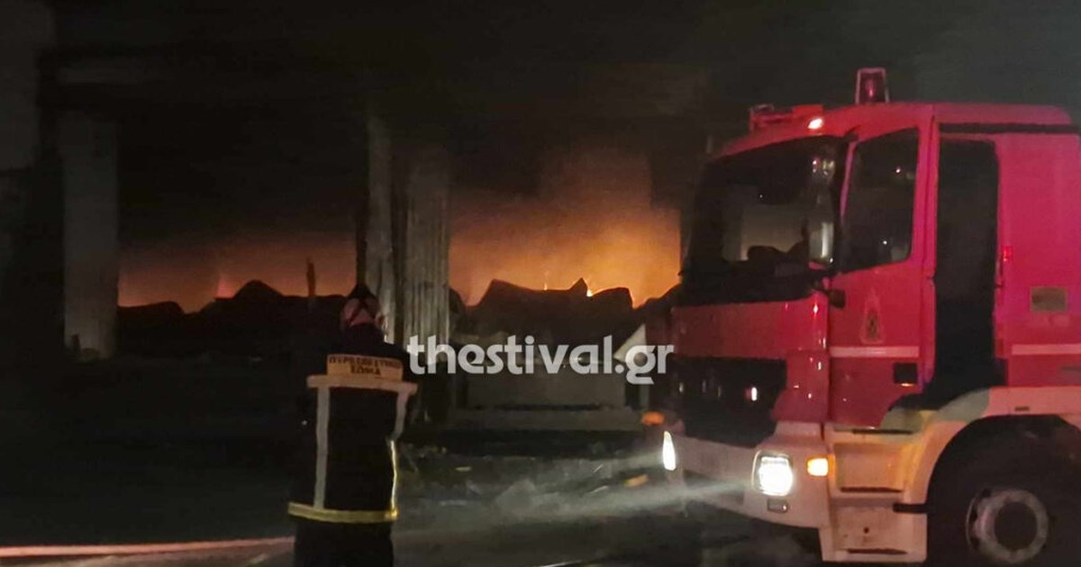 Φωτιά σε δασική έκταση στο Μίστρο Ευβοίας: Σηκώθηκαν αεροσκάφη και ελικόπτερα