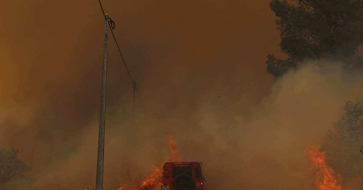 Θανάσιμη ταυρομαχία: Νεκρός 22χρονος ταυρομάχος στο ντεμπούτο του στους αγώνες  [βίντεο]