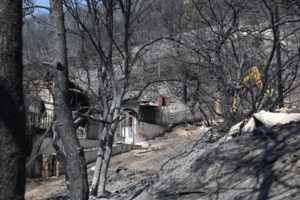 Δύο συλλήψεις σε Τρίκαλα και Κάρυστο: 46χρονος για εμπρησμό από πρόθεση και 47χρονος για πυρκαγιά από αμέλεια