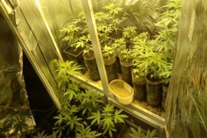 Σουφλί: Μεγάλη επιχείρηση για ναρκωτικά - Και ένας ΕΠΟΠ μεταξύ των συλληφθέντων