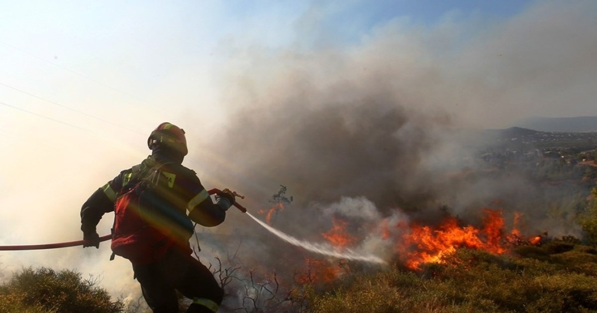 Λέσβος: Σε ηλικιωμένο ανήκει η απανθρακωμένη σορός - Επεσε με το αυτοκίνητό του σε δέντρο και ξέσπασε φωτιά στην περιοχή