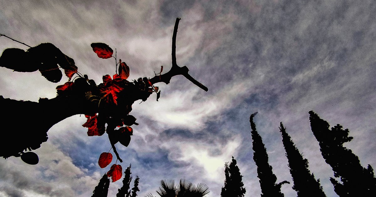 Καιρός: Βελτιωμένος με άνοδο της θερμοκρασίας τις επόμενες ημέρες - Η πρόγνωση για την ερχόμενη εβδομάδα