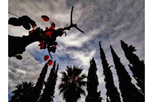 Καιρός: Βελτιωμένος με άνοδο της θερμοκρασίας τις επόμενες ημέρες - Η πρόγνωση για την ερχόμενη εβδομάδα