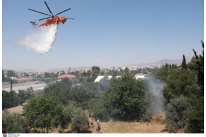 Μαγνησία: Φωτιά ξέσπασε σε τρία μέτωπα - Τέθηκαν υπό έλεγχο - εικόνα 2
