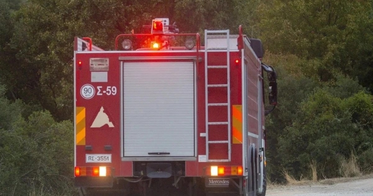 Ηλεία: Φωτιά σε αγροτοδασική έκταση - Επειχειρούν 4 εναέρια [εικόνες] - εικόνα 5