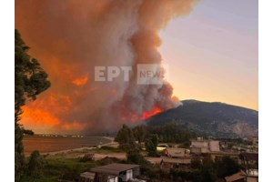 Την εκδοχή εμπρησμών στις φωτιές σε Αιτωλοακαρνανία και Ήπειρο εξετάζουν κλιμάκια της Πυροσβεστικής και της Αστυνομίας