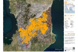 Συναγερμός στην Εύβοια: Φωτιά κοντά σε δύο ξενοδοχεία - εικόνα 2
