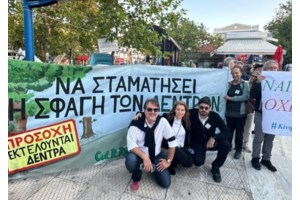 ΝΟΚ: Στα ευρωπαϊκά δικαστήρια οι εργολάβοι για να ανατρέψουν την απόφαση για το ύψος των κτιρίων