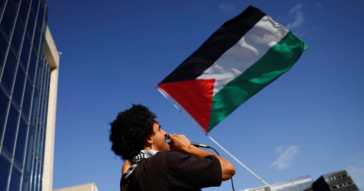 Δυτική Όχθη: Το Ισραήλ απέλασε 32 ακτιβιστές που βοηθούσαν Παλαιστίνιους στο μάζεμα της ελιάς