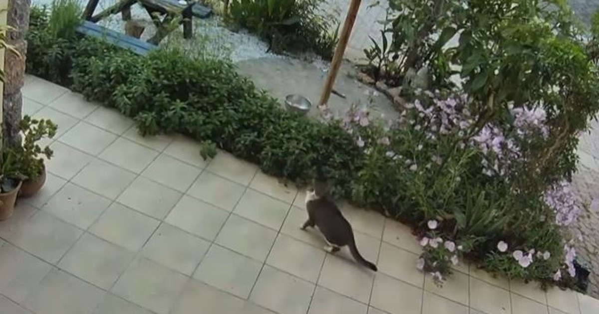 Τσελέντης για σεισμό 6,1 Ρίχτερ στην Κρήτη: Γιατί έγινε αισθητός έως την Κεφαλονιά – Τι να προσέξει ο κόσμος