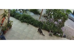 Τσελέντης για σεισμό 6,1 Ρίχτερ στην Κρήτη: Γιατί έγινε αισθητός έως την Κεφαλονιά – Τι να προσέξει ο κόσμος