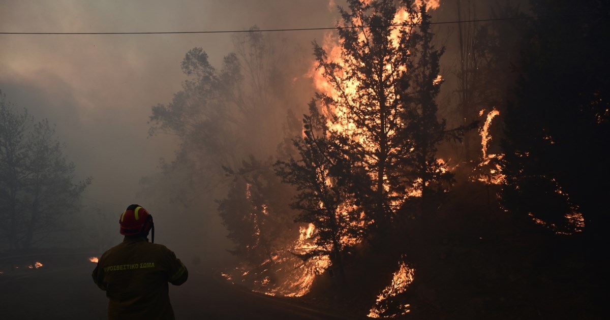 Φωτιά στα Μέγαρα: Καίγεται ολοσχερώς εργοστάσιο - Μήνυμα του 112 "κλείστε πόρτες και παράθυρα" [βίντεο] - εικόνα 4