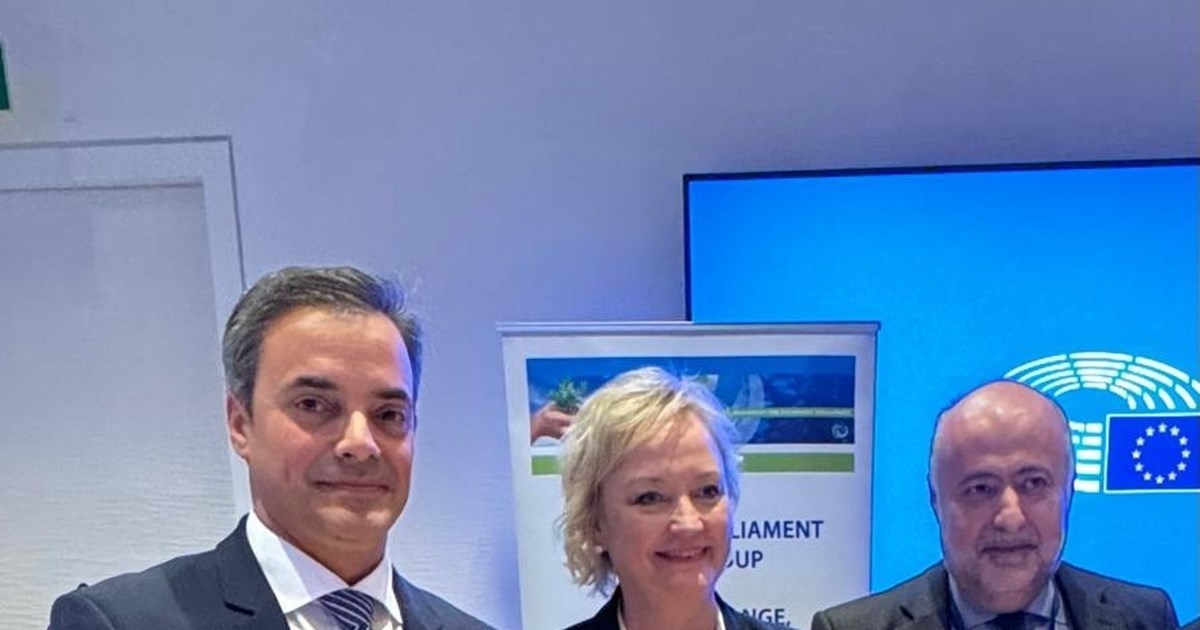 Δημήτρης Τσιόδρας στο Ευρωπαϊκό Κοινοβούλιο: Η λύση στη Μέση Ανατολή μπορεί να είναι μόνο πολιτική