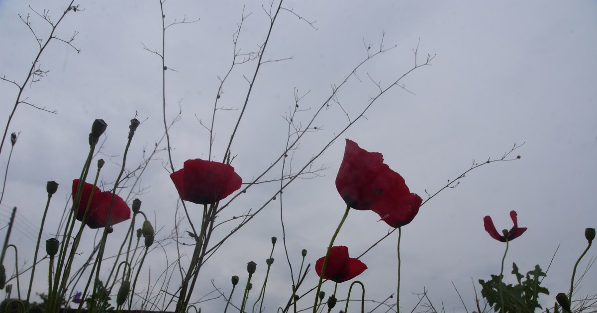 Φθινοπωρινός ο καιρός την Πρωτομαγιά: Αισθητή η πτώση του 