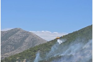 Κοζάνη: Φυλάκιση 10 μηνών και πρόστιμο 4.830 ευρώ στον 75χρονο που συνελήφθη για τη φωτιά στο Δρέπανο