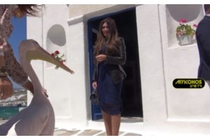 Κίμπερλι Γκίλφοϊλ: Η Μύκονος συνεχίζει να αναδεικνύει ευκαιρίες για σύμπραξη ΗΠΑ - Ελλάδας