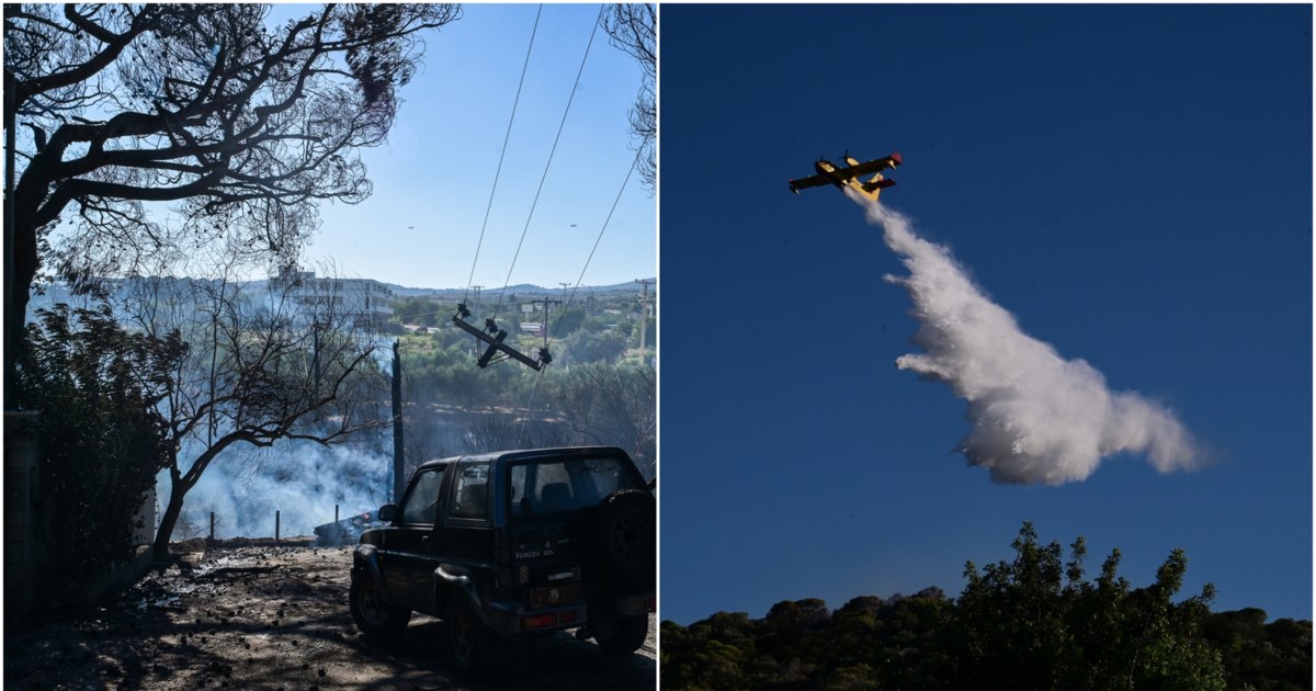 Σε ύφεση η φωτιά σε Ραφήνα και Πικέρμι: Σπίτια έγιναν στάχτη - Δεκάδες απεγκλωβισμοί κατοίκων - H καταστροφή σε εικόνες και βίντεο - εικόνα 7