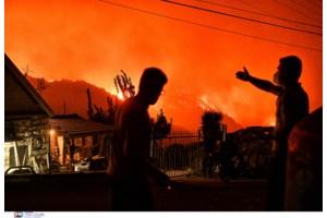 Νίκος Παππάς για φωτιά στο Ξυλόκαστρο: Στρατηγική επιλογή της κυβέρνησης η μη υποστήριξη της Πυροσβεστικής - εικόνα 2