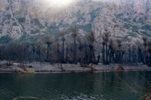 Φωτιά τώρα στην Κρεμαστή Λακωνίας - Επιχειρούν τέσσερα εναέρια μέσα