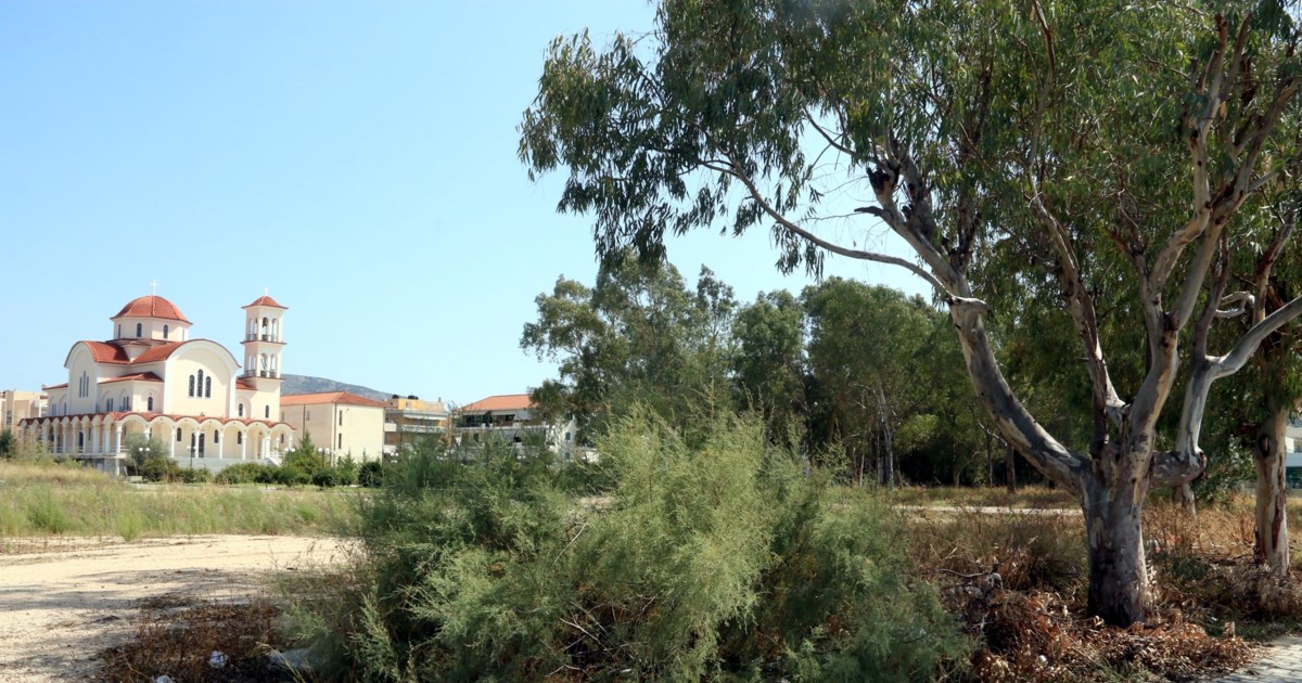 Ακαθάριστα οικόπεδα: Τι πρέπει να γνωρίζουν οι ιδιοκτήτες τους σε δάση και πόλεις - Πότε οι δήμοι μπορούν να παρέμβουν - εικόνα 3