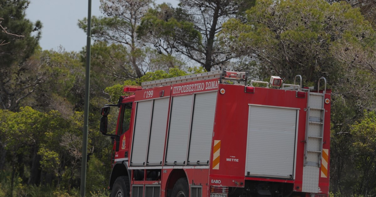 Ξεκίνησε η αντιπυρική περίοδο:  Τι πρέπει να προσέχουν οι πολίτες, τι απαγορεύεται και ποιες είναι οι ποινές για τους παραβάτες