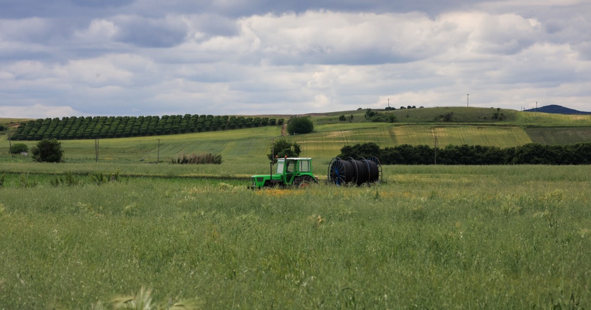 Αμετακίνητοι οι αγρότες: Ενισχύουν τα μπλόκα σε όλη την Ελλάδα - "Απαιτούμε λύσεις" - εικόνα 5
