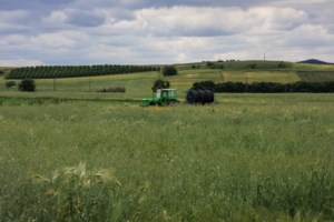 Μαρινάκης: Δεν υπάρχει κανένας κίνδυνος για τις αγροτικές επιδοτήσεις, είμαστε σε συνεννόηση με την Κομισιόν