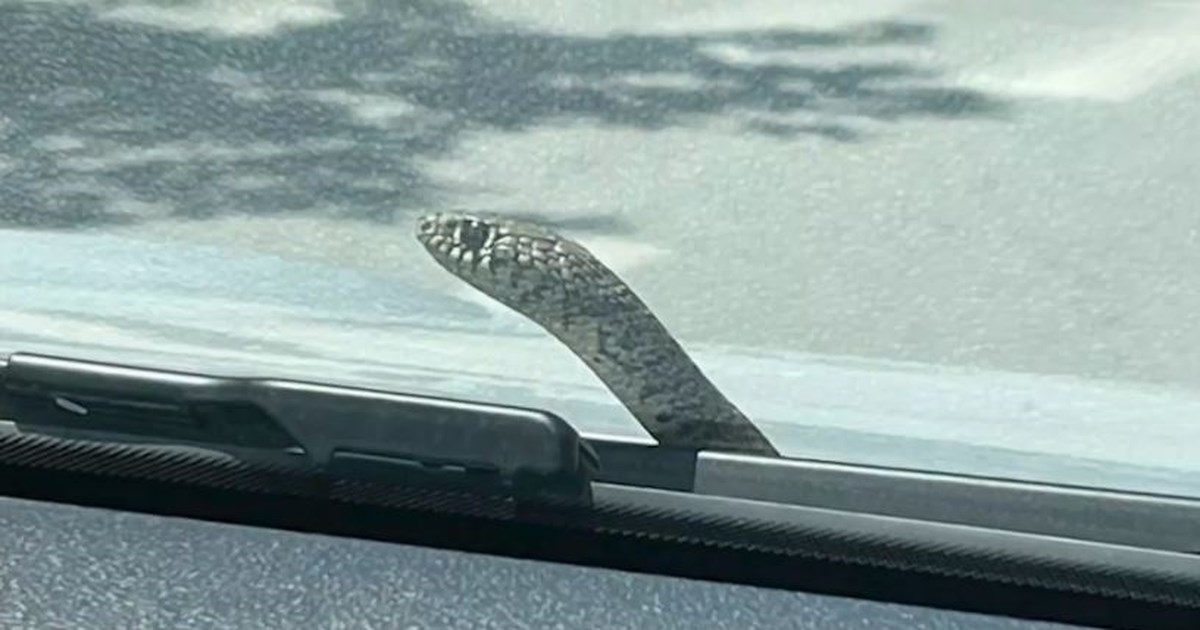 Σοκ στην Κρήτη: 9χρονος δέχτηκε επίθεση και απειλητικά μηνύματα από συμμαθητές του - "Του εύχονται να πεθάνει" [βίντεο]