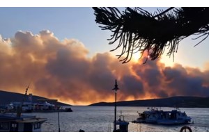 Φωτιά Σκύρος: Ενισχύσεις από Αττική, Εύβοια και Θεσσαλία στο νησί - Μάχη με τις φλόγες προς το Πεύκο - Σηκώθηκαν εναέρια