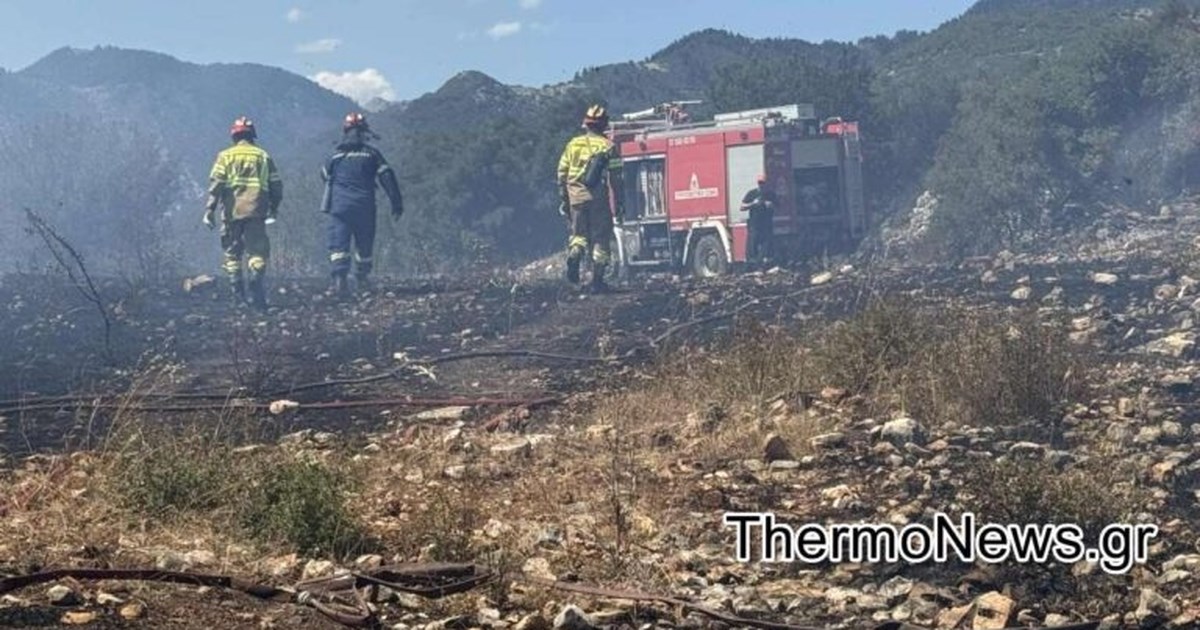 Φωτιά στην Κεφαλονιά κοντά σε βιολογικό αγρόκτημα - Επιχειρούν 2 αεροσκάφη και 1 ελικόπτερο