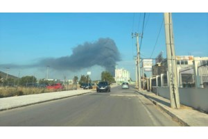 Φωτιά τώρα σε δασική έκταση στην Εύβοια - εικόνα 3