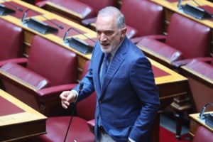 Πλεύρης κατά Σαλμά: Ορθά διεγράφη, συμπεριφερόταν εδώ και καιρό σαν βουλευτής αντιπολίτευσης