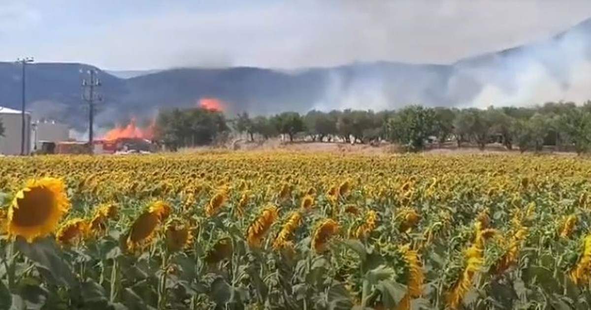 Φωτιά σε χωματερή στο Μαρκόπουλο: Σηκώθηκαν πέντε εναέρια μέσα