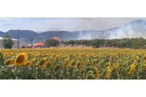 Φωτιά σε χωματερή στο Μαρκόπουλο: Σηκώθηκαν πέντε εναέρια μέσα