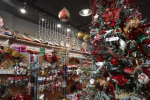 Χριστούγεννα: Τα κάλαντα στον δήμαρχο Αθηναίων Χάρη Δούκα - εικόνα 2