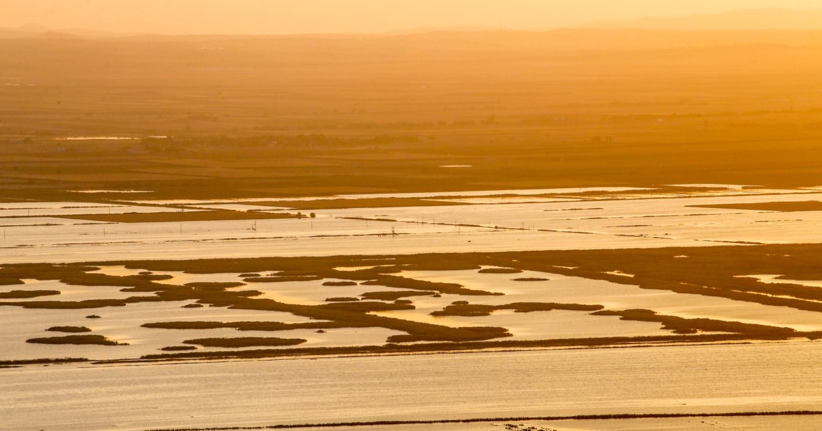 ΟΠΕΚΕΠΕ: Ο Γιώργος Μυλωνάκης διαβίβασε στην Εξεταστική Επιτροπή το ενημερωτικό σημείωμα Βάρρα