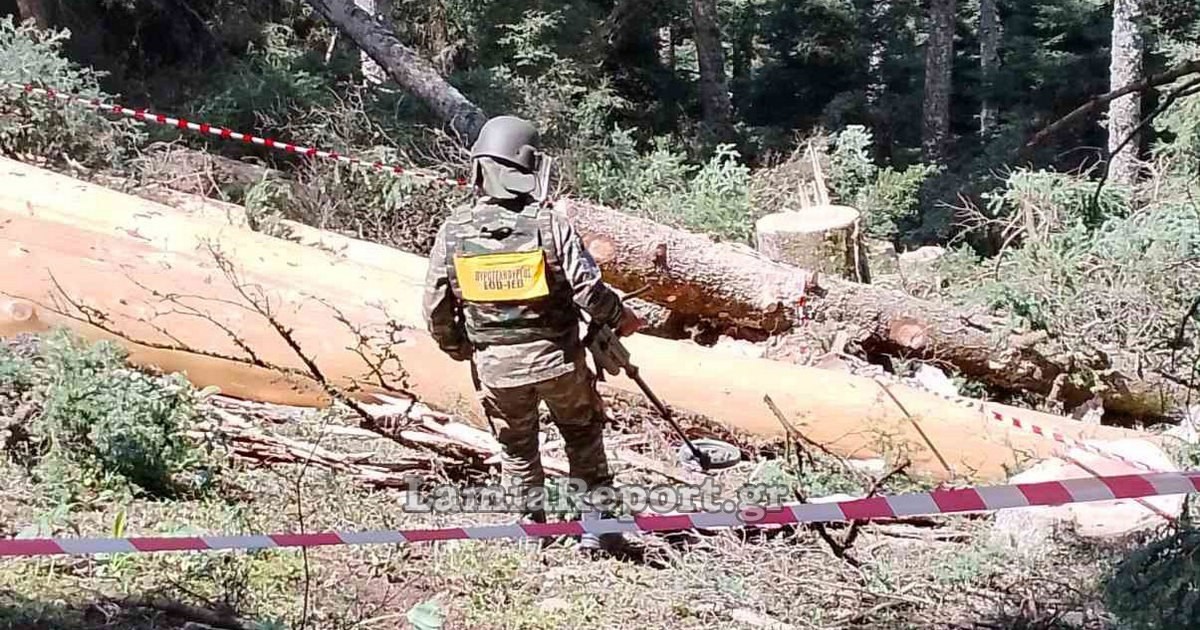 Ευρυτανία: Εντοπίστηκε  αμυντική χειροβομβίδα τύπου mills στο δάσος από υλοτόμους