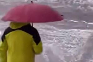 ΕΛΓΑ: Ξεκίνησαν οι καταγραφές ζημιών από το χαλάζι σε Θεσσαλία και Στερεά Ελλάδα