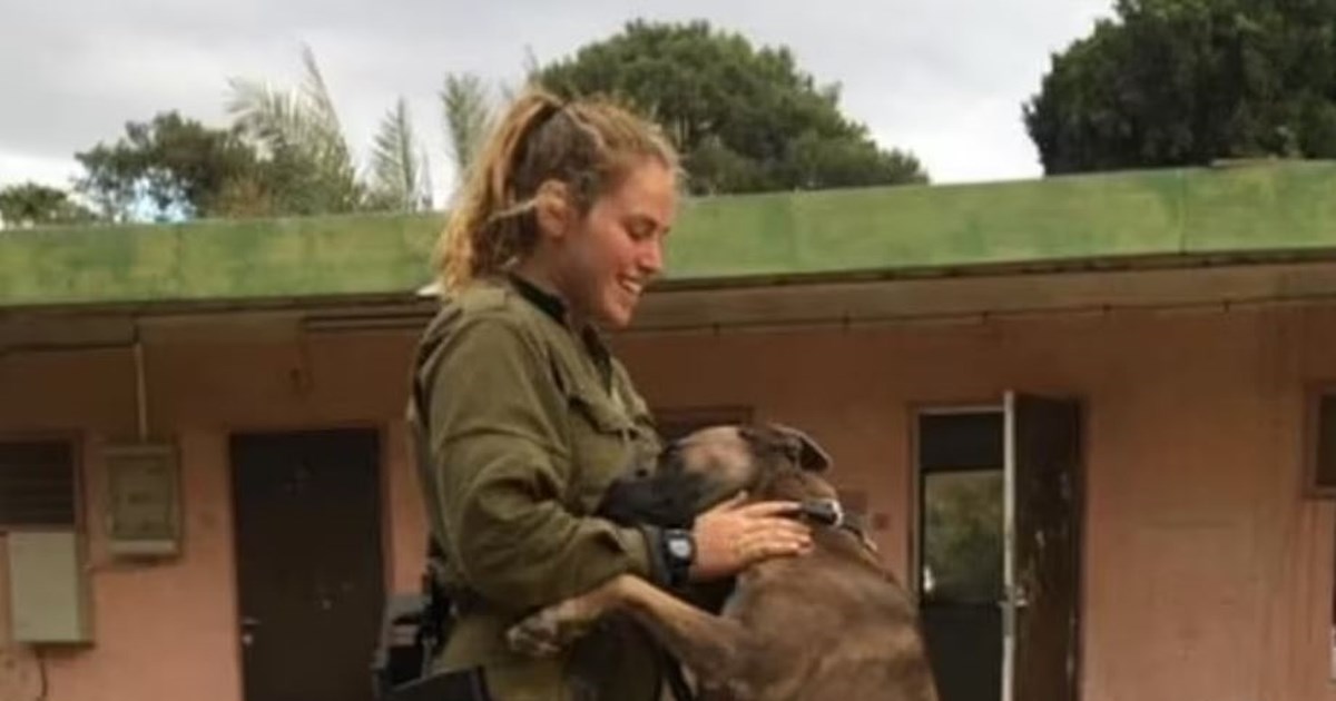 Νίκος Δένδιας: Η Ελλάδα είναι σαφώς δίπλα και στηρίζει το κράτος του Ισραήλ