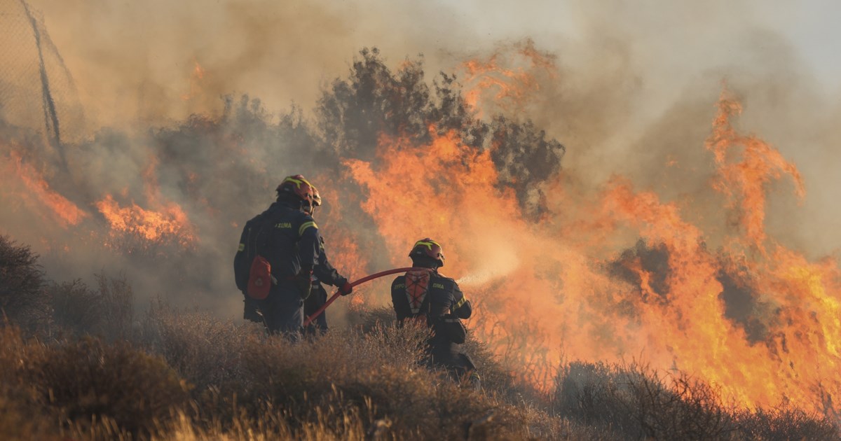 Σε ύφεση η πυρκαγιά σε Ραφήνα και Πικέρμι: Ολονύχτια μάχη με τις αναζοπυρώσεις [εικόνες - βίντεο] - εικόνα 7