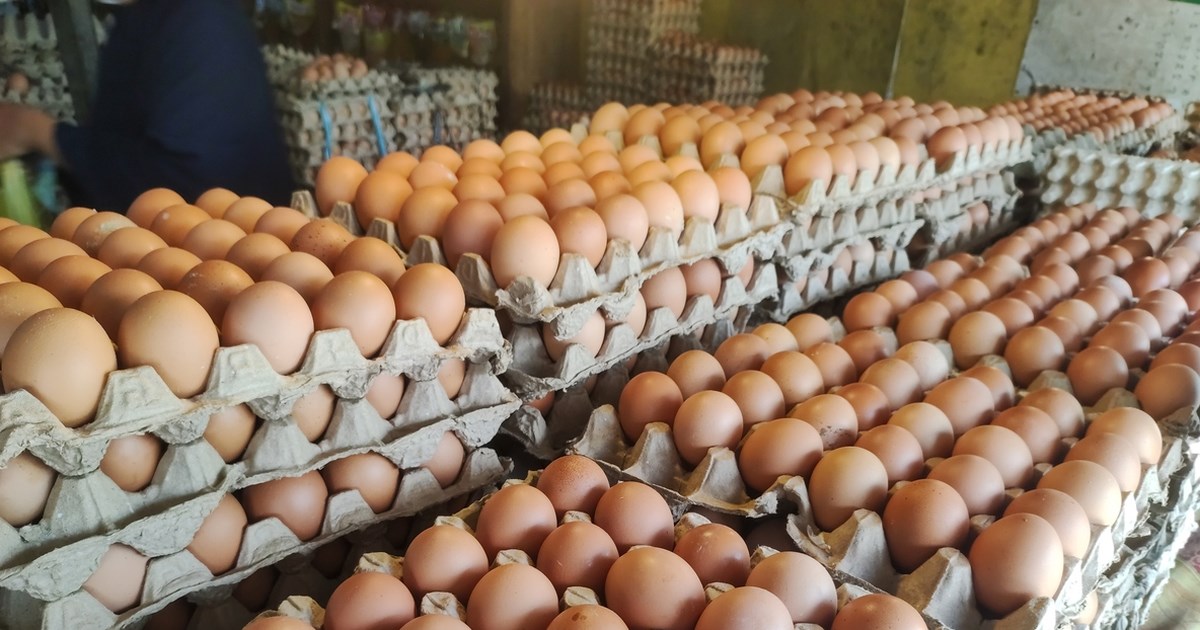 Κρήτη: 54χρονη έκαψε το αυτοκίνητο του πρώην της και συνελήφθη - Ζημιές και σε δεύτερο όχημα