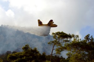 Χειροπέδες σε 20χρονο για πρόκληση πυρκαγιάς στη νότια Λέσβο