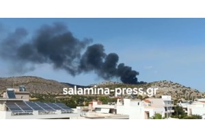 Πηγές ΓΕΝ: Δεν απειλήθηκαν εγκαταστάσεις και πλοία Πολεμικού Ναυτικού από τη φωτιά στη Σαλαμίνα